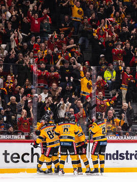 under ishockeymatchen i SHL mellan Djurgården och Luleå