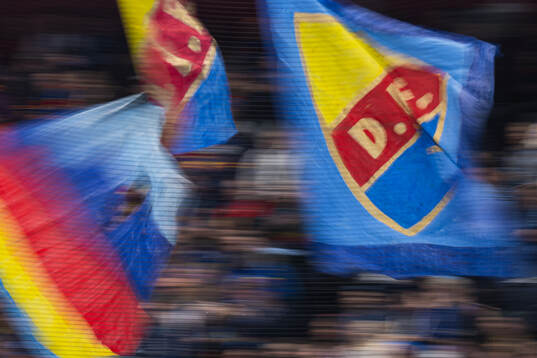 Djurgårdens flagga