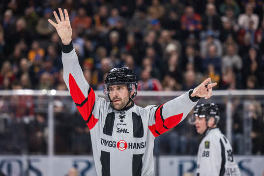 Domare Mikael Sjöqvist
