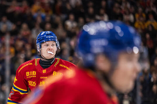 Djurgårdens David Blomgren