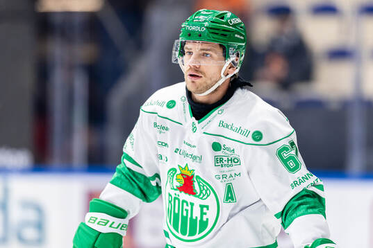 Rögles Leon Bristedt