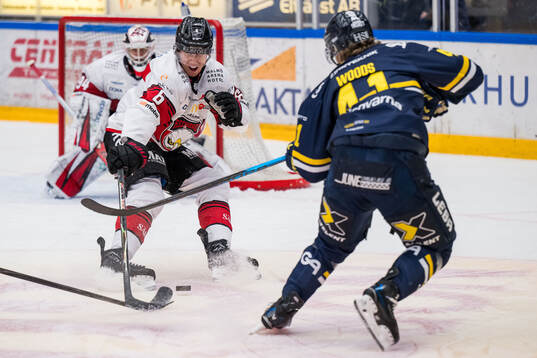 Malmö Redhawks Eemil Viro