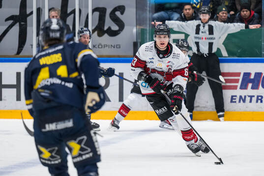 Malmö Redhawks Fredrik Händemark