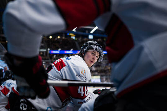 Malmö Redhawks Lauri Pajuniemi