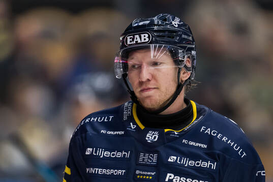 HV71s Andreas Borgman deppar
