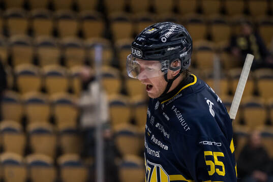 HV71s Andreas Borgman deppar