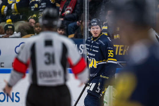 HV71s Andreas Borgman reagerar på ett domslut