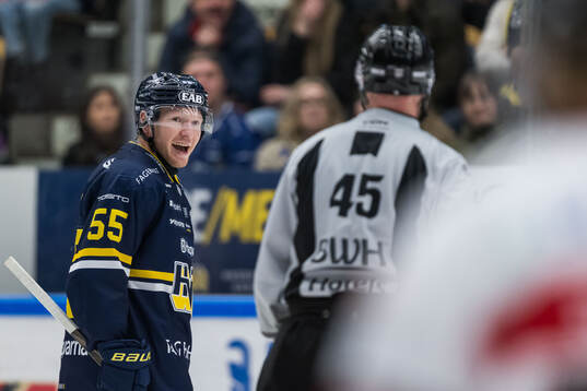 HV71s Andreas Borgman reagerar på ett domslut