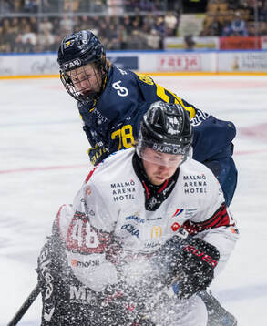 HV71s Malte Gustafsson och Malmö Redhawks Lauri Pajuniemi
