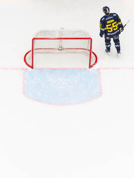 HV71s Andreas Borgman deppar