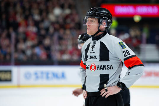 Domare Mikael Holm