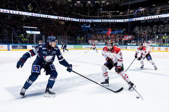 Linköpings Nicholas Shore och Örebros Teemu Turunen