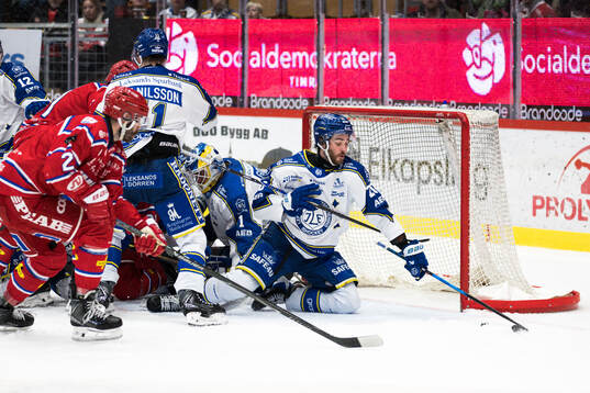 Leksands Nolan Stevens