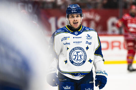 Leksands Marcus Karlberg