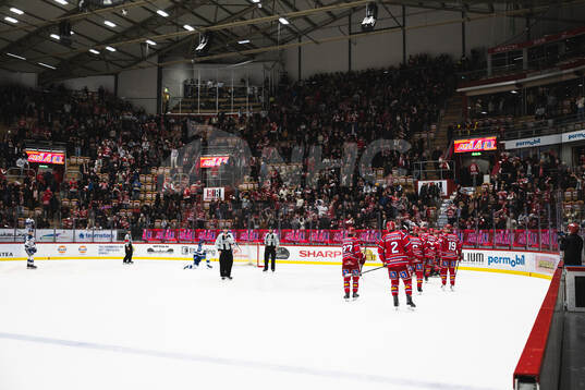 Timrå jublar