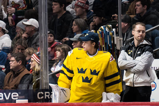 Goaltender Herman Liv of Sweden