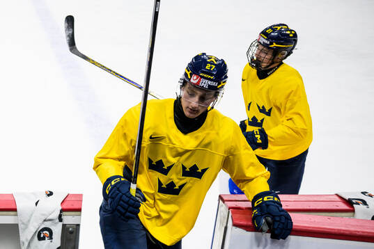 Wilson Björck and Viggo Björck of Sweden at a practice