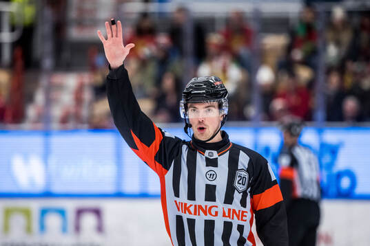 Domare Filip Eriksson