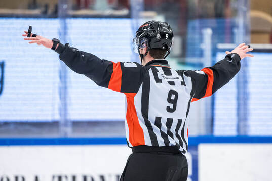 Domare Filip Eriksson