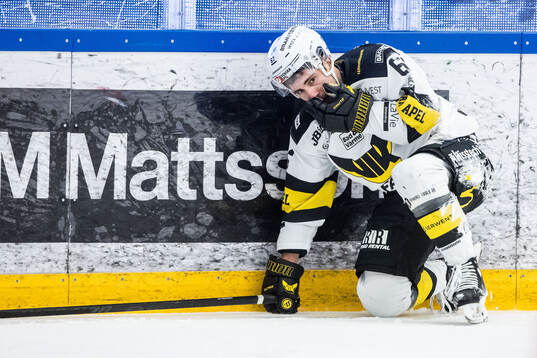 Västerås Konstantin Komarek