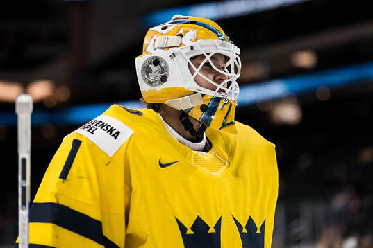 Goaltender Herman Liv of Sweden