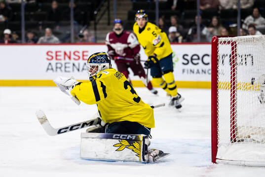 goaltender Love Härenstam of Sweden concedes 5-2 scored by