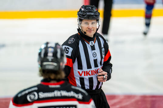 Domare Stefan Leijonklo
