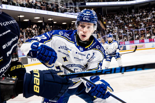 Leksands Lukas Vejdemo
