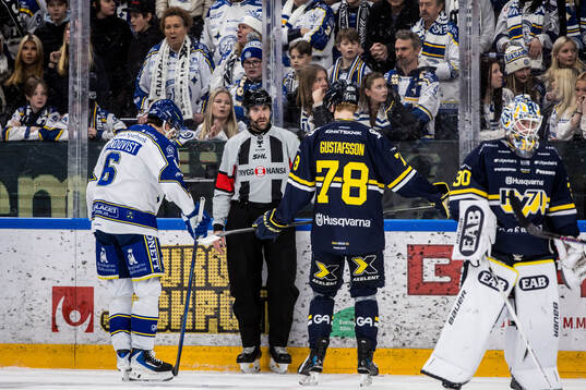 Domare Mikael Sjöqvist
