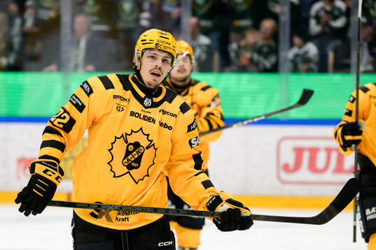 Skellefteås Jonathan Johnson deppar
