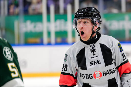 Domare Mikael Holm