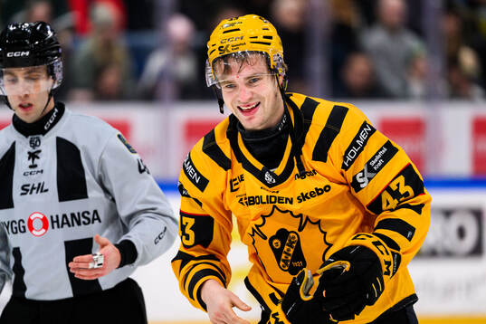Skellefteås Max Krogdahl lämnar isen