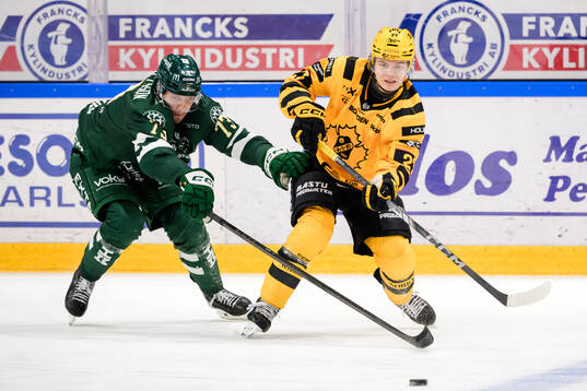 Färjestads Adam Ollas Mattsson och Skellefteås Oskar