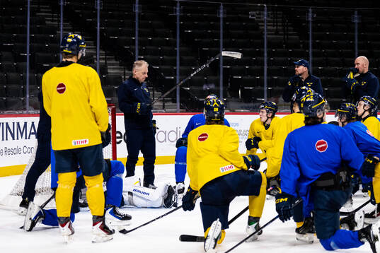 Head coach Magnus Hävelid of Sweden at a practice session