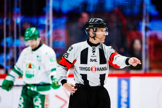 Domare Tobias Björk dömer mål