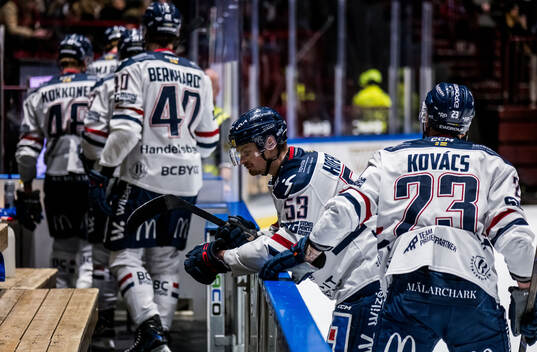 Linköpings Adam Hofbauer deppar