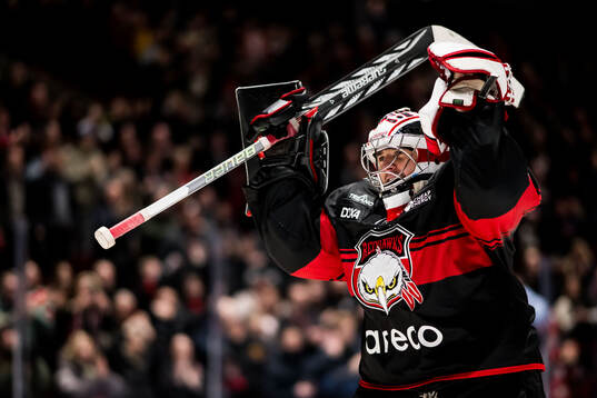 Malmö Redhawks målvakt Marek Langhamer jublar