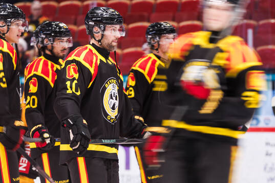 Brynäs Johan Larsson