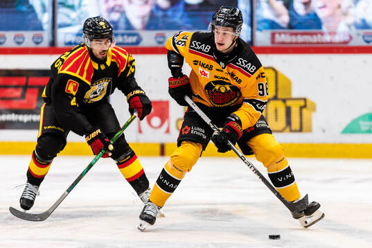 Brynäs Tyler Vesel och Luleås Pontus Andreasson