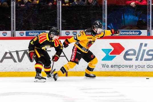Brynäs Greg Scott och Luleås Jesper Sellgren