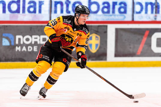 Luleås Erik Gustafsson