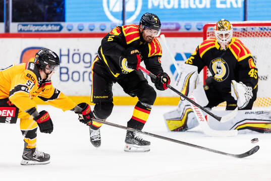 Brynäs Michal Kempny