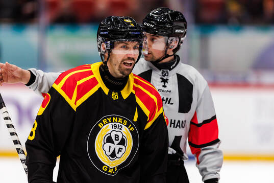 Brynäs Anton Rödin