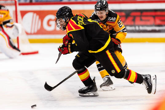 Brynäs Bobby Trivigno