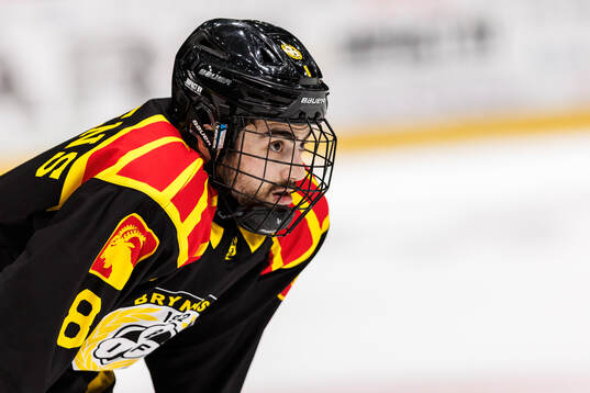 Brynäs Bobby Trivigno
