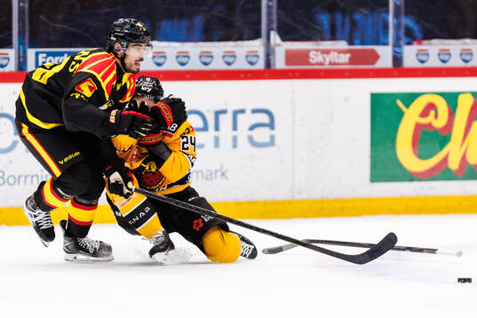 Brynäs Tyler Vesel och Luleås Brendan Shinnimin