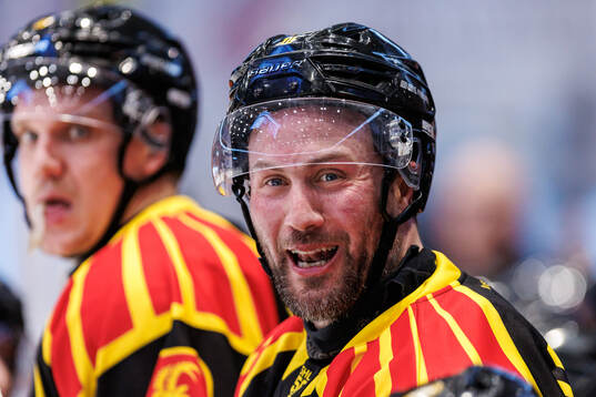 Brynäs Johan Larsson