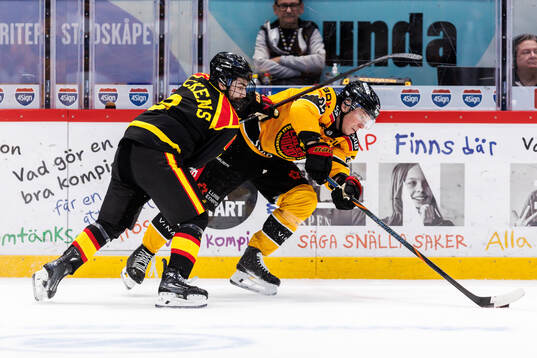 Brynäs Bobby Trivigno och Luleås Erik Gustafsson