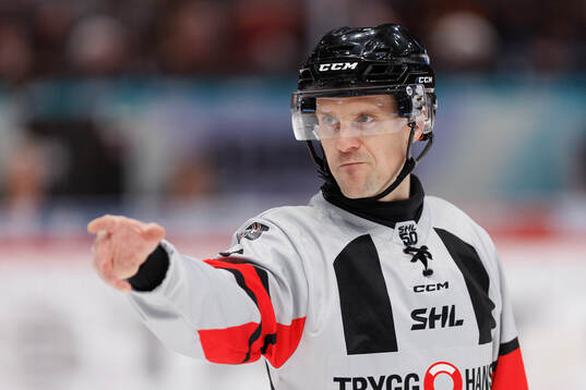 Domare Stefan Leijonklo