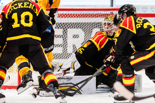 Brynäs målvakt Damian Clara